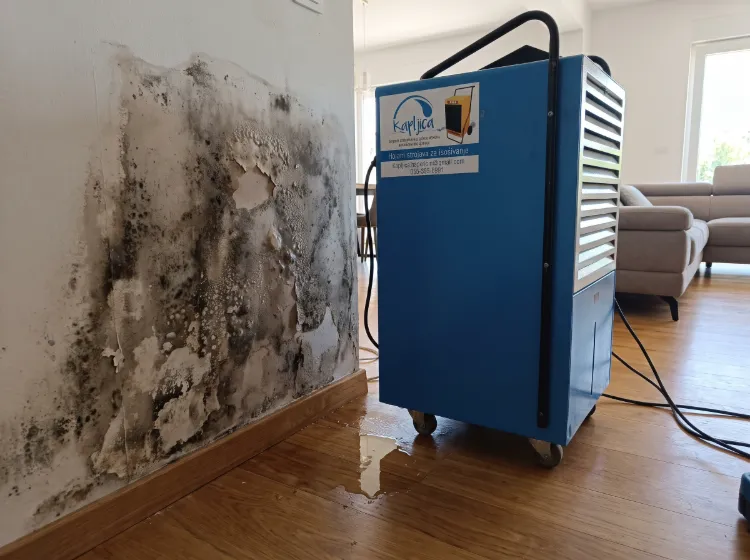 Plavi profesionalni isušivač zraka postavljen uz oštećeni pregradni zid u modernom dnevnom boravku