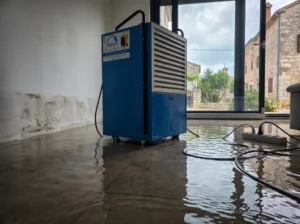 Poplavljen moderni dnevni boravak s mokrim donjim dijelom gipsanog zida i velikim plavim isušivačem zraka u sredini prostorije