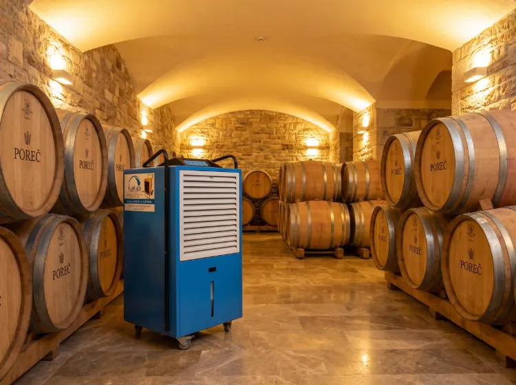 Profesionalni plavi isušivač zraka postavljen između drvenih bačvi u vinariji